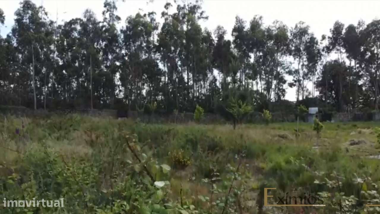 Terreno de 722m2, para construção, em Beiriz - Grande imagem: 3/5