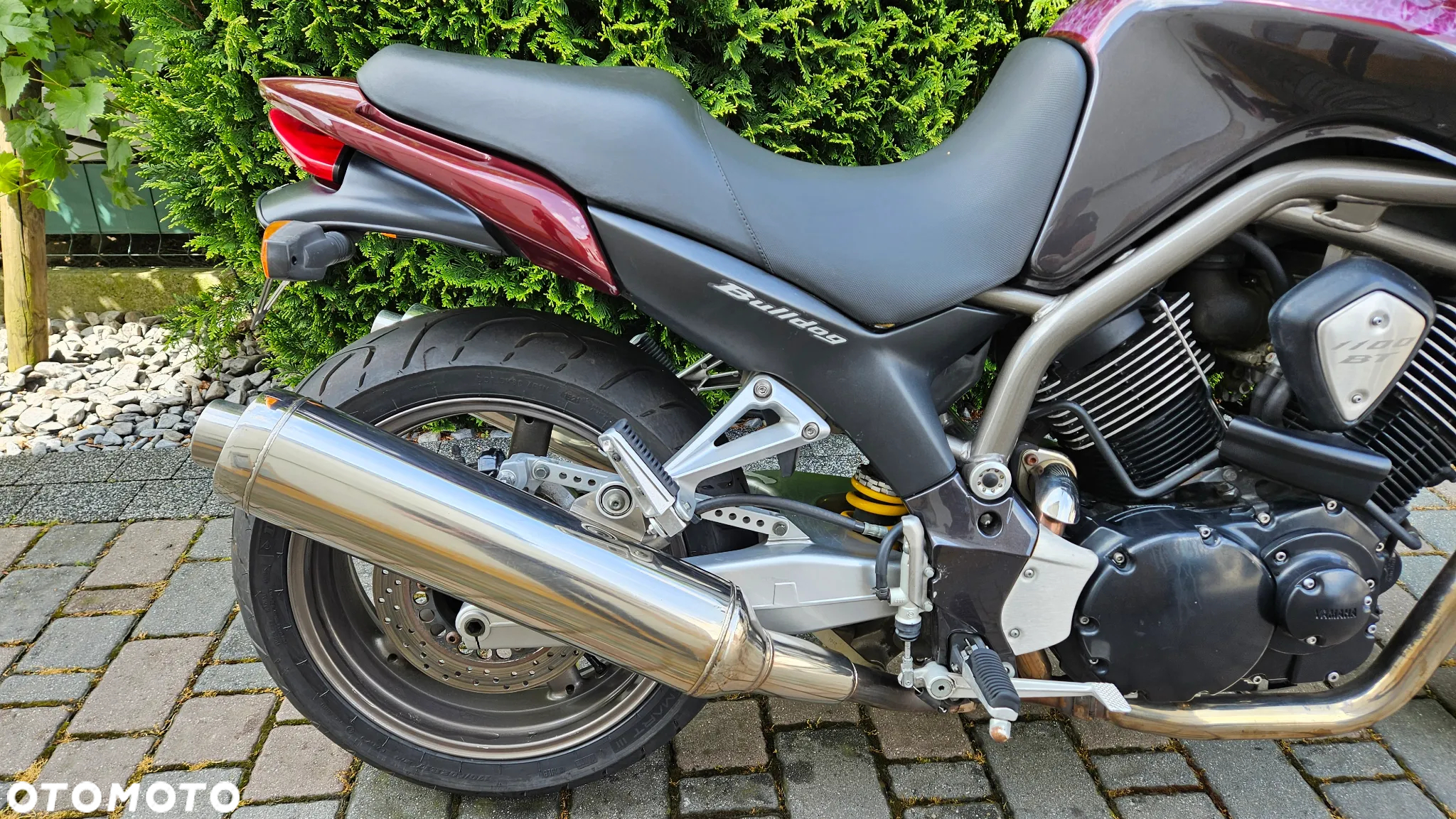 Yamaha Bulldog - 9