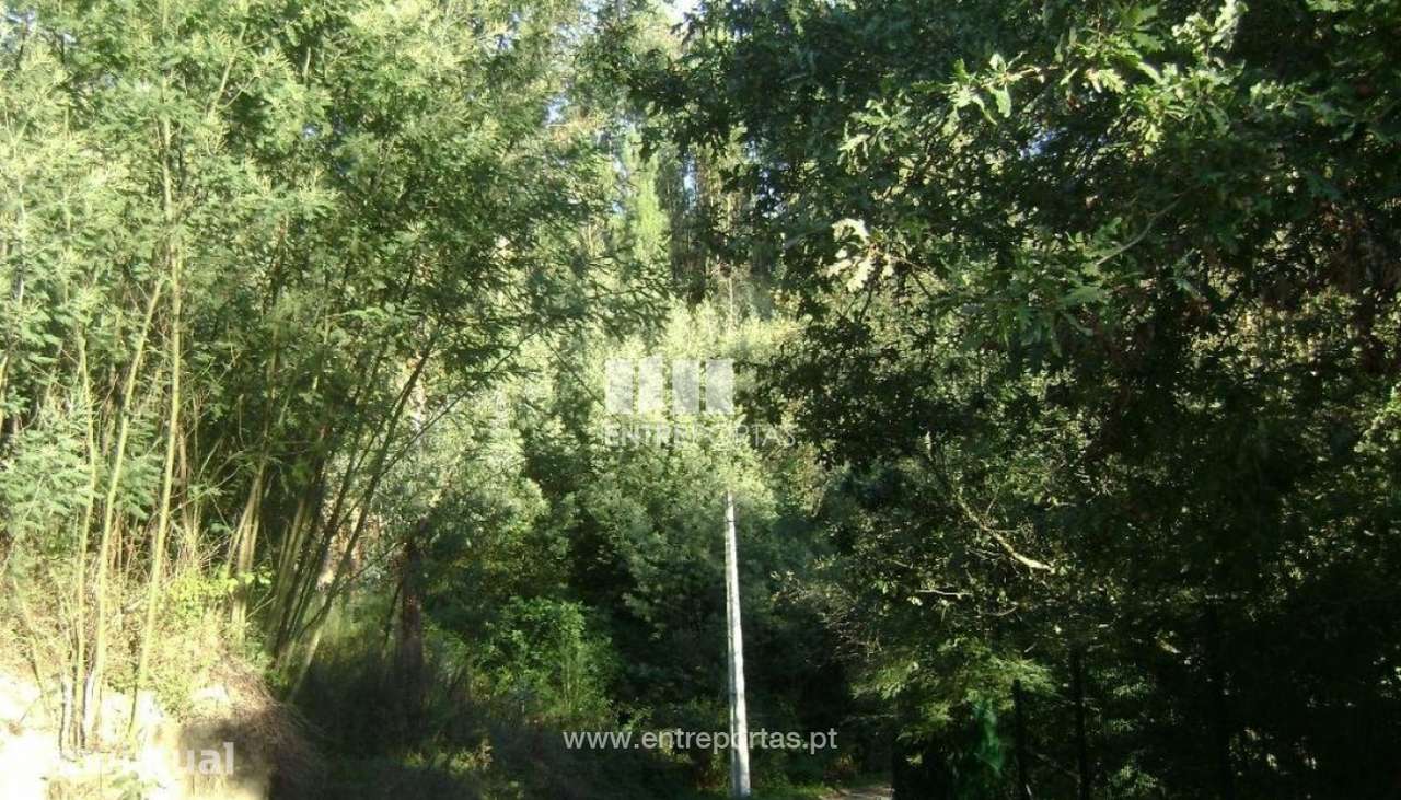 Venda Terreno, Sande, Marco de Canaveses - Grande imagem: 4/5