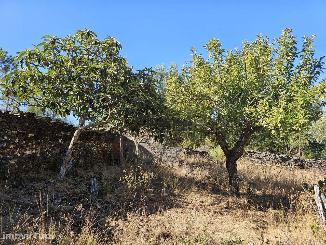 Quintinha com poço em Benquerenças - Grande imagem: 5/17