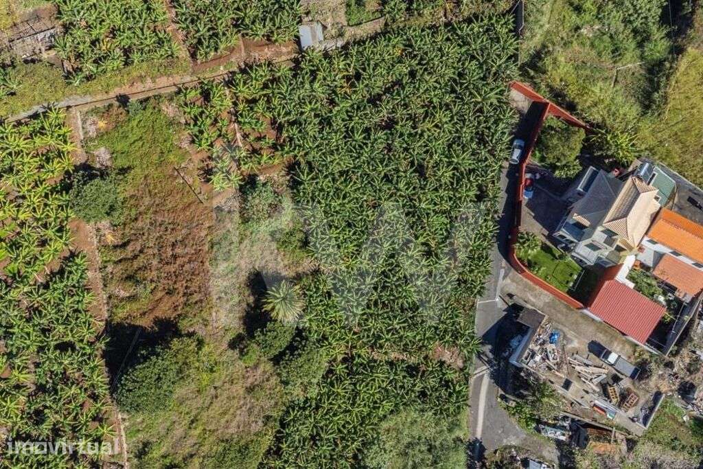 Terreno Urbanizável - 800m2 - São Martinho | Funchal - Grande imagem: 2/21