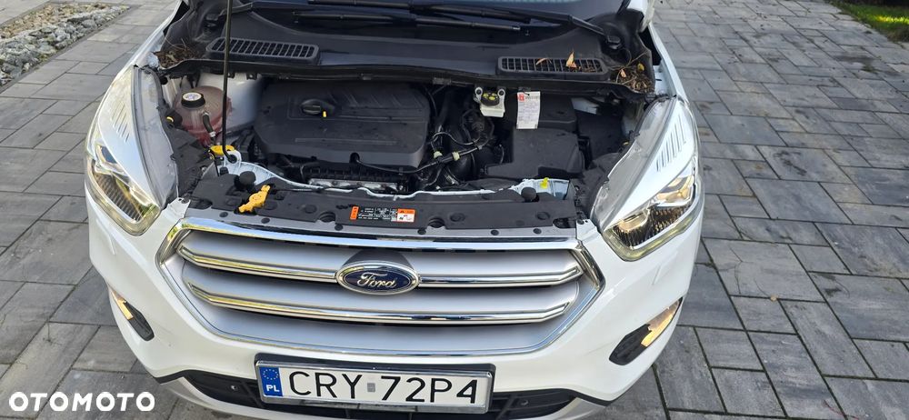 Ford Kuga 1.5 EcoBoost FWD Edition ASS MMT6 - 21