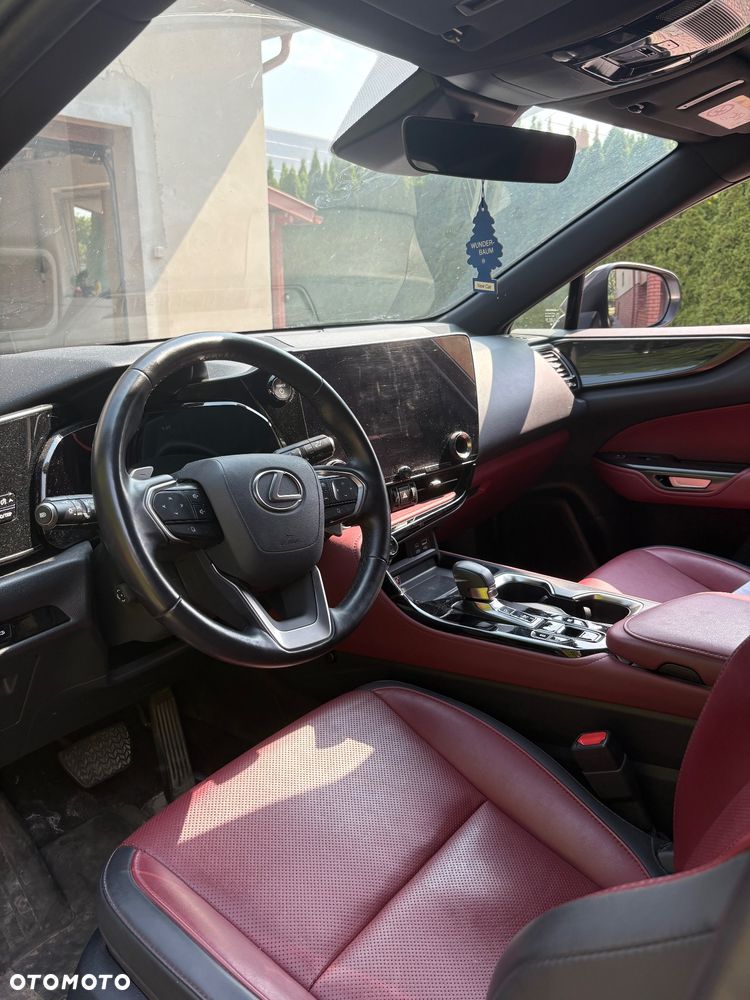 Lexus NX - 10