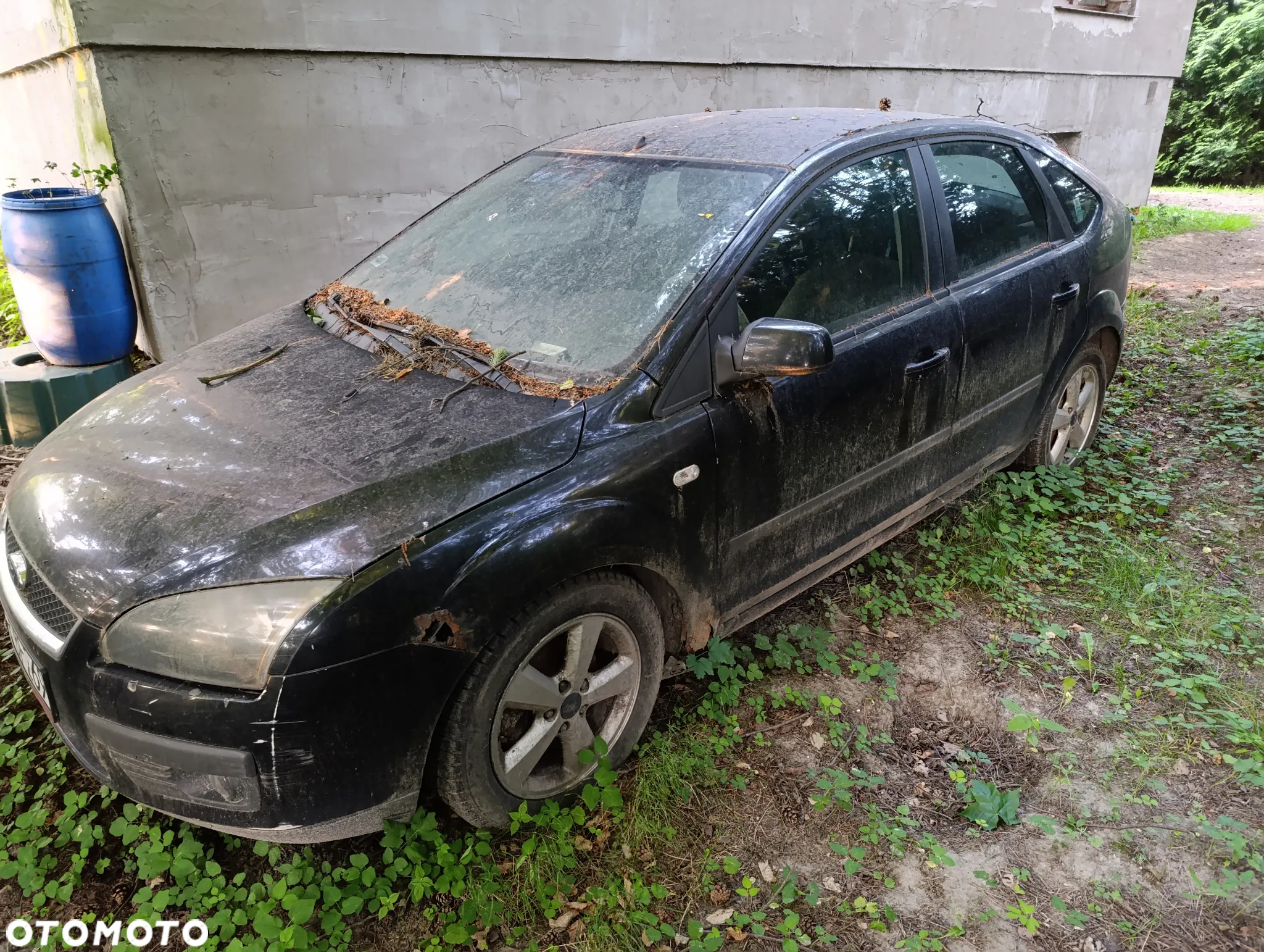 Ford Focus - 3