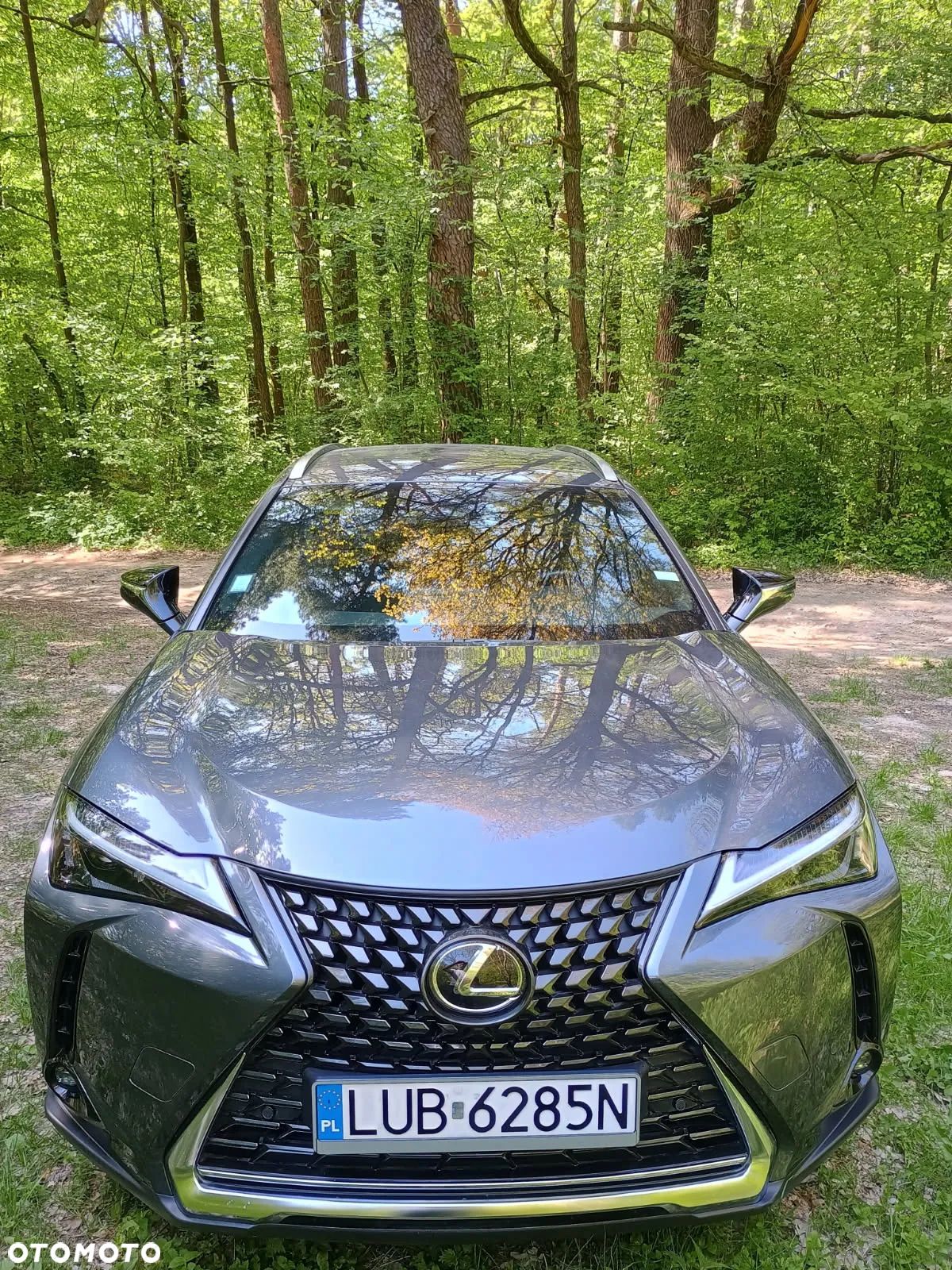 Lexus UX 250h GPF Business 2WD - 1