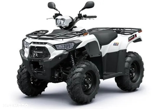 Kawasaki Brute Force - 3