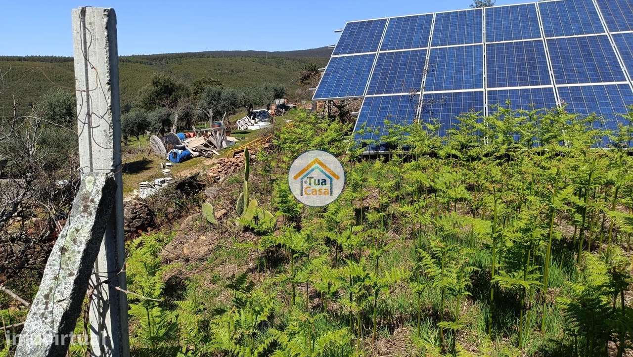 O Seu Paraíso Verde com Rendimento Extra Espera por si! - Grande imagem: 5/16