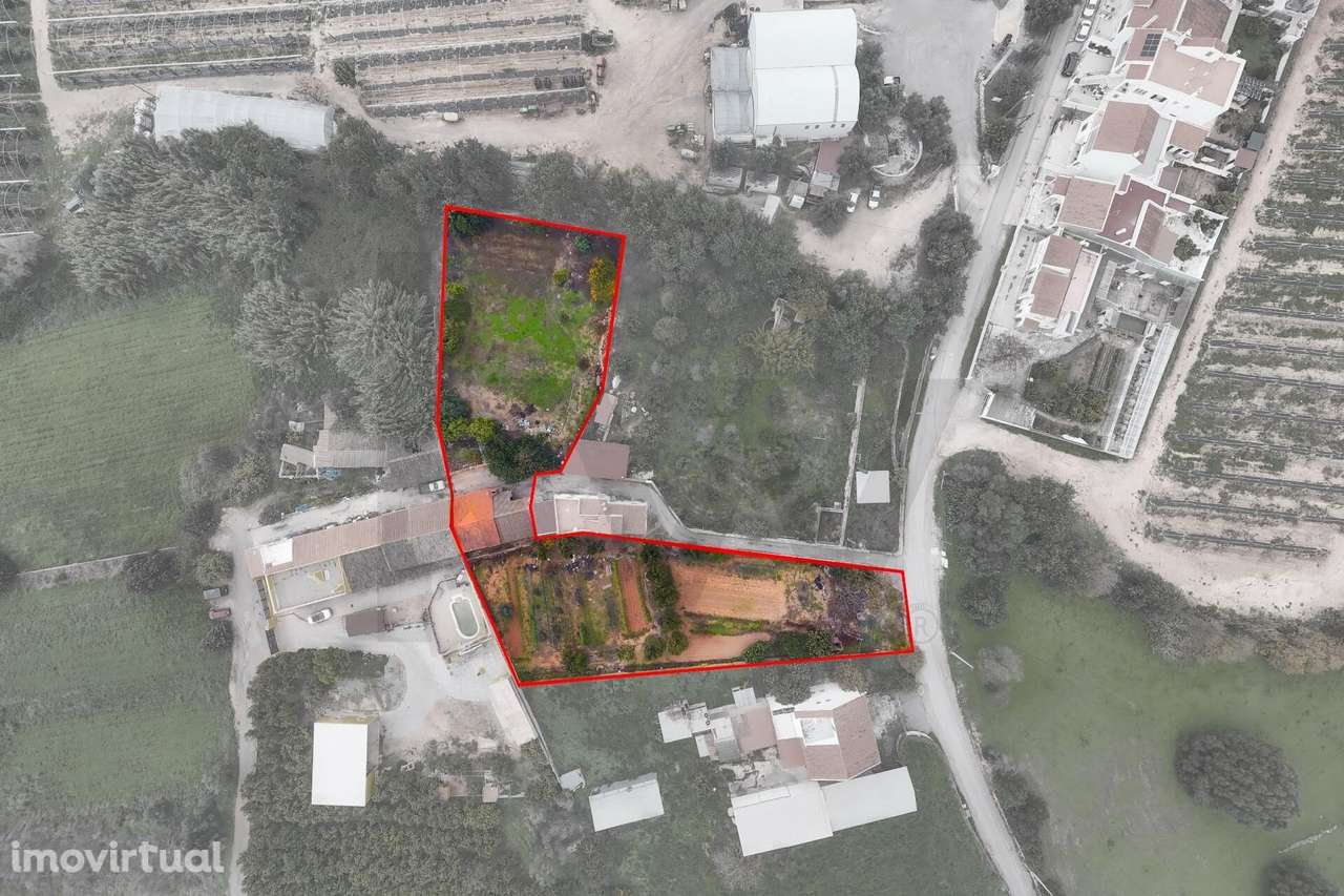 Moradia térrea com logradouro situada a 5 minutos de Tavira - Grande imagem: 3/60