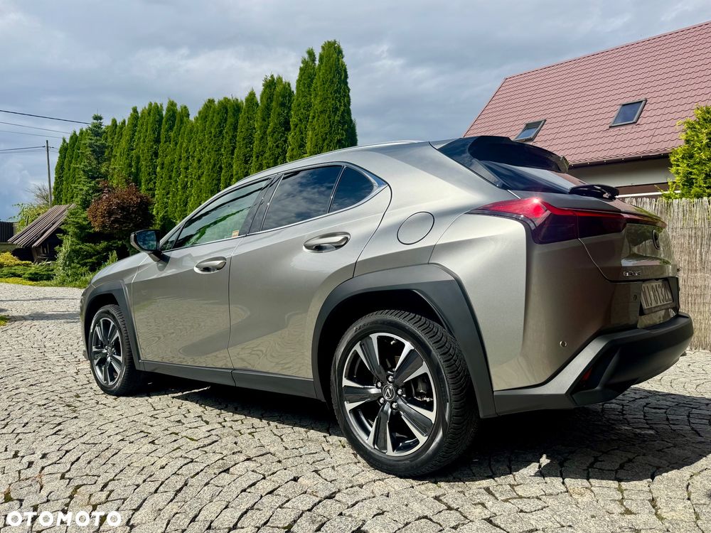 Lexus UX 250h F Sport 2WD - 13