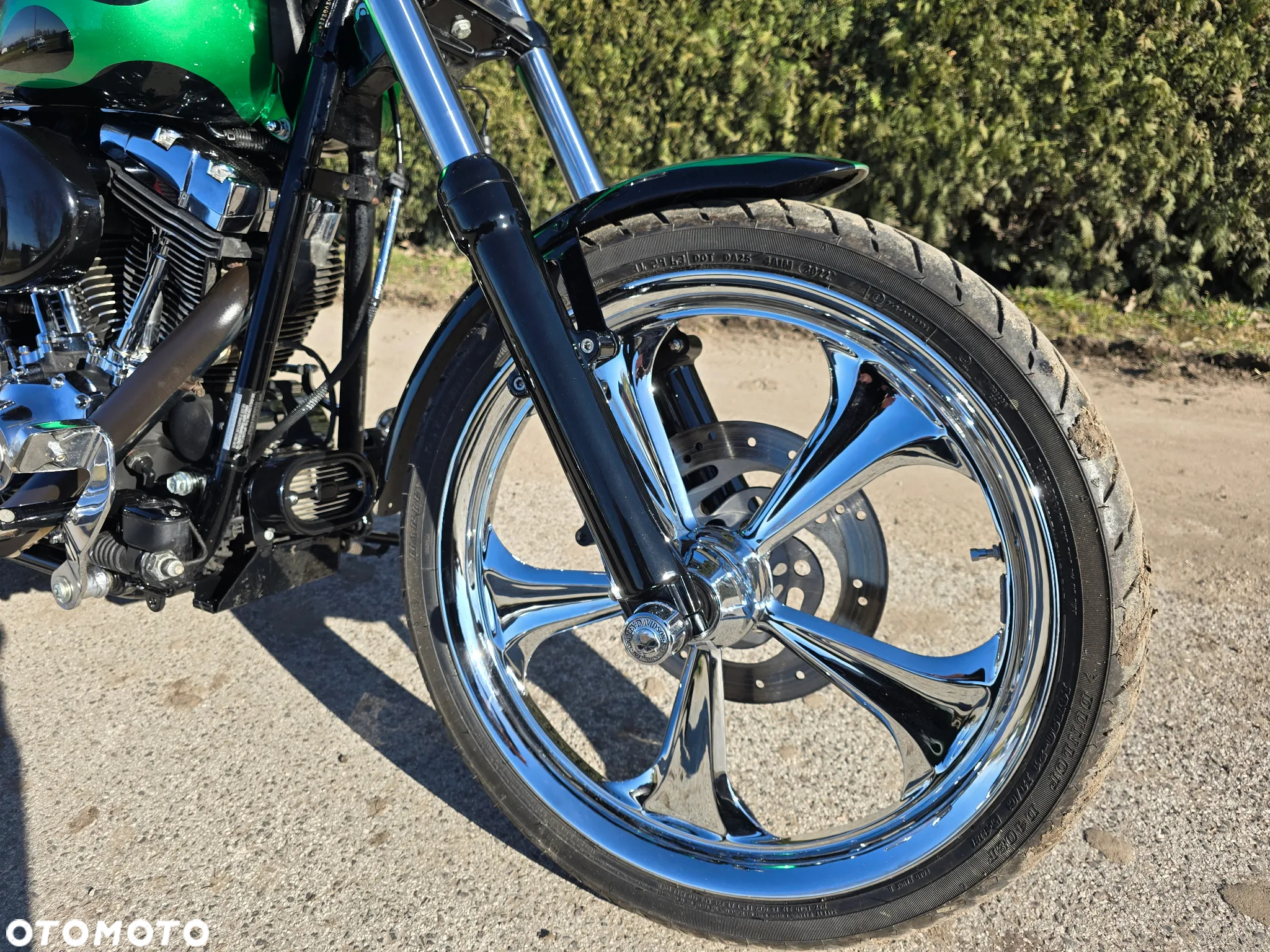 Harley-Davidson Softail Custom - 8
