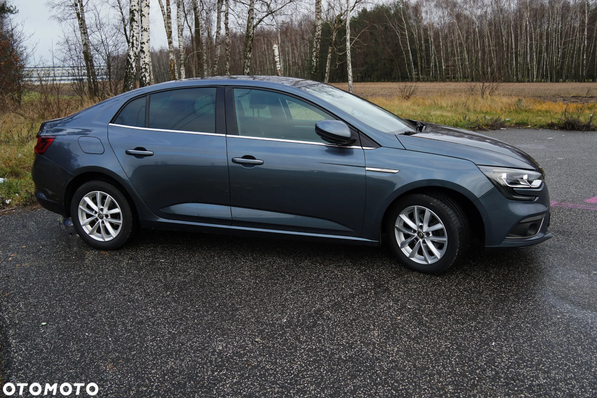 Renault Megane 1.2 Energy TCe Intens EDC - 23