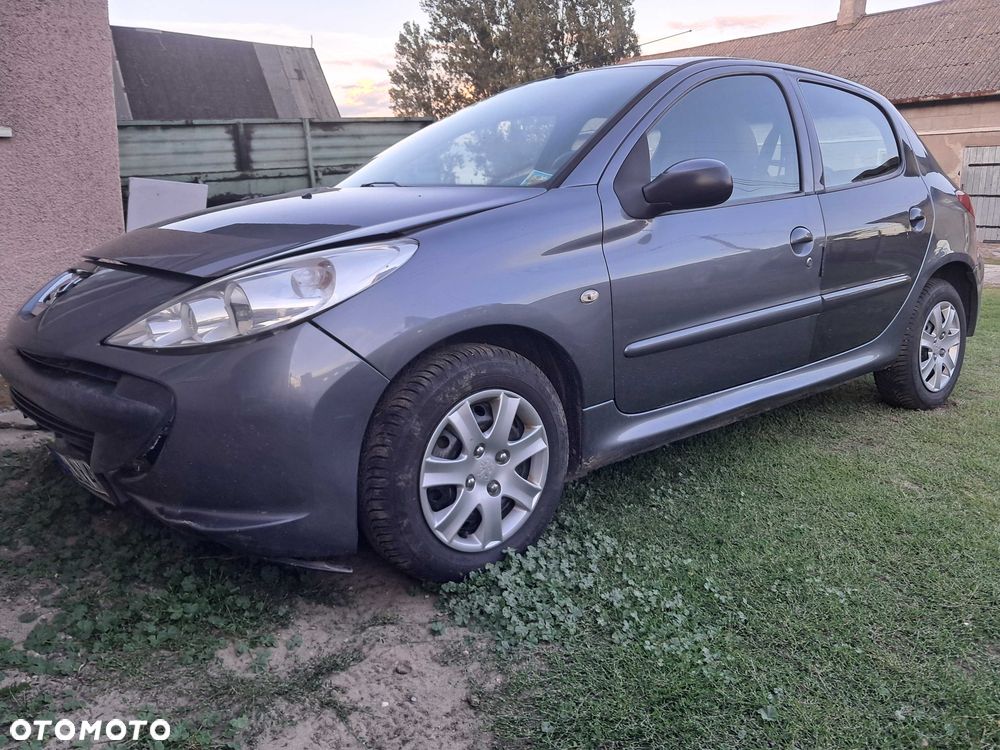 Peugeot 206 plus - 5