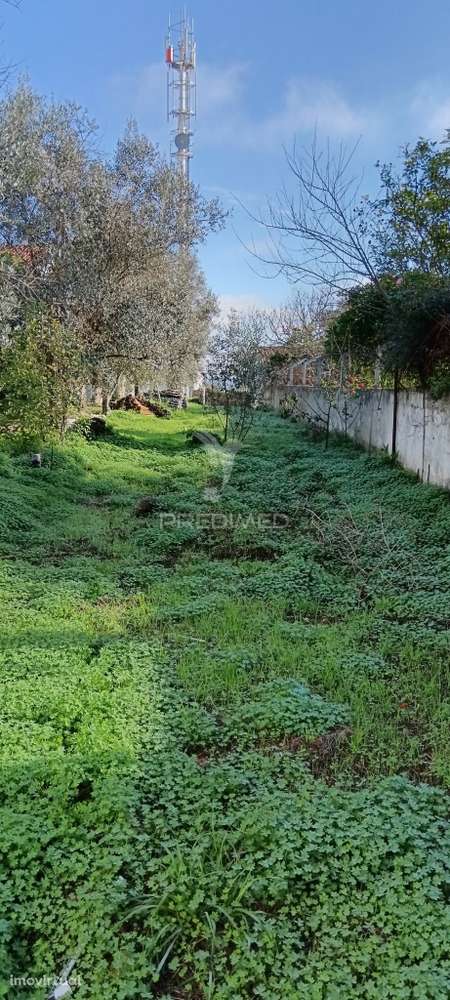 Casa antiga para reconstruir - Grande imagem: 4/10