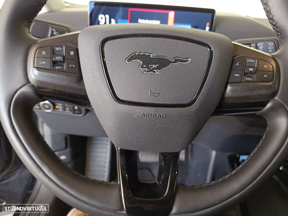 Ford Mustang Mach-E Standard - 17