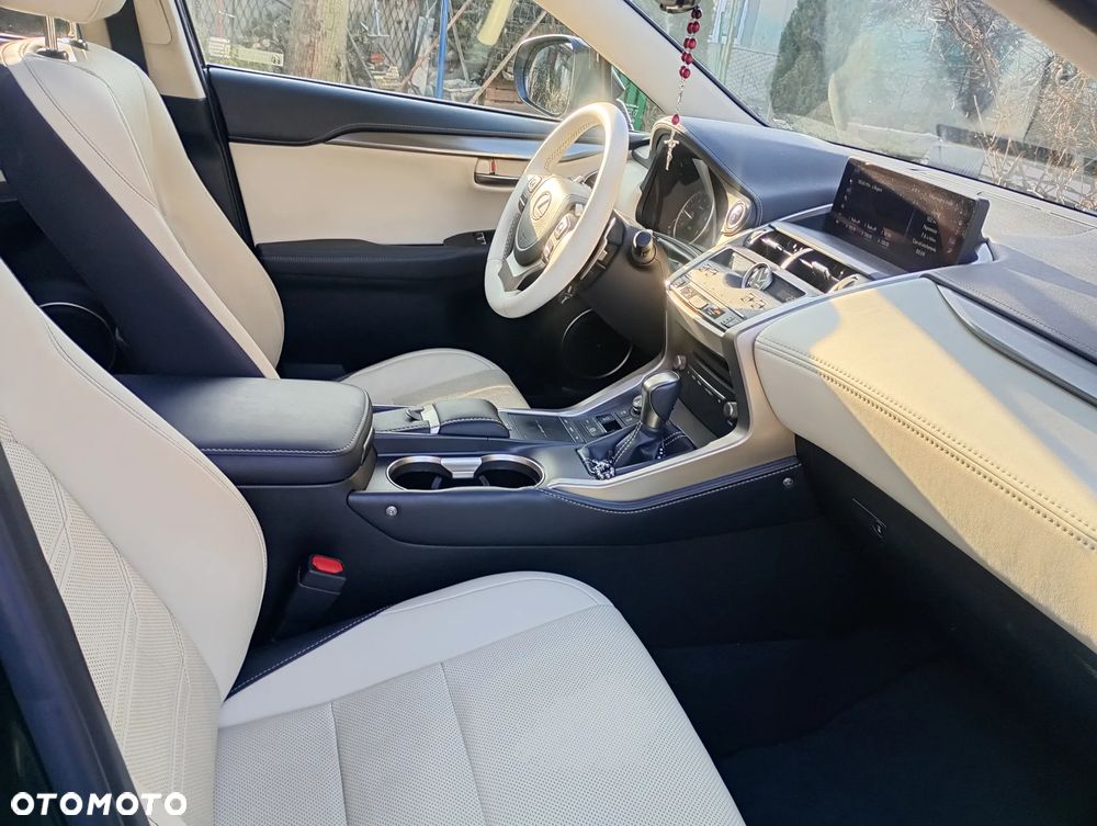 Lexus NX - 20