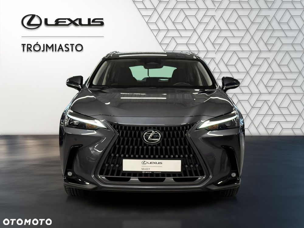 Lexus NX 350h Business AWD - 9