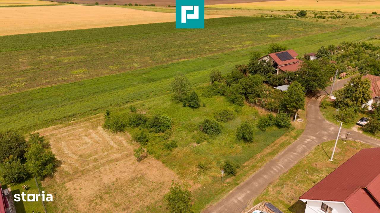 Teren intravilan de 602mp în Cicir, Vladimirescu - Imagine principală: 4/20