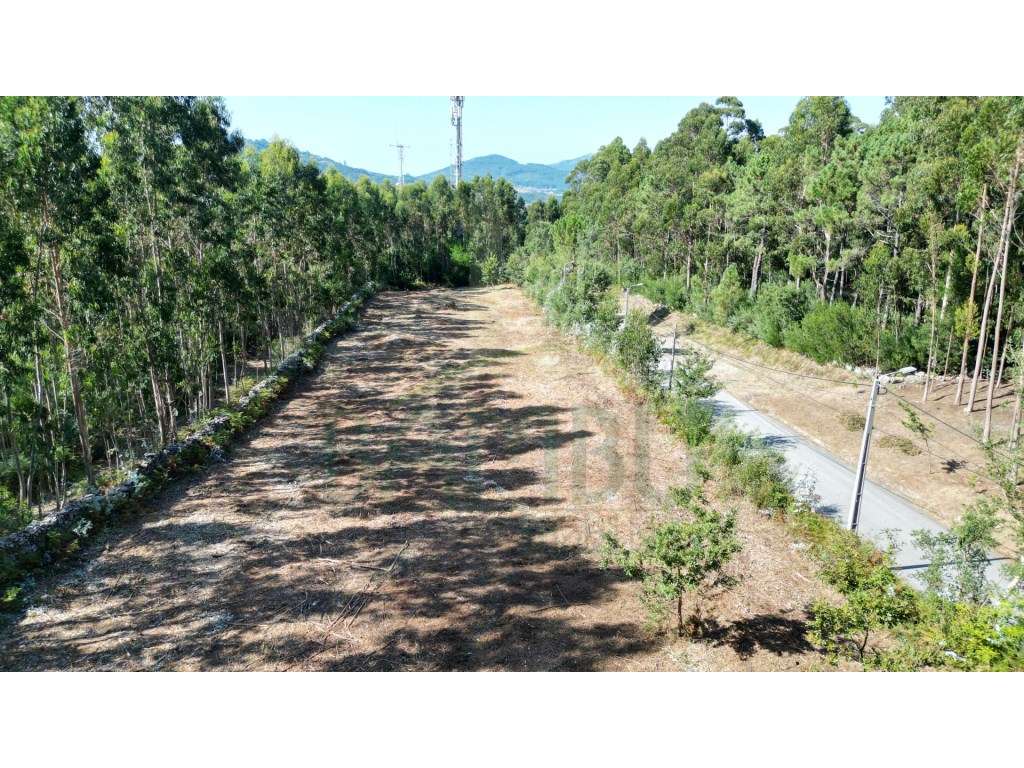 Terreno de construção, perto do Monte de Santo Antão! - Grande imagem: 4/10