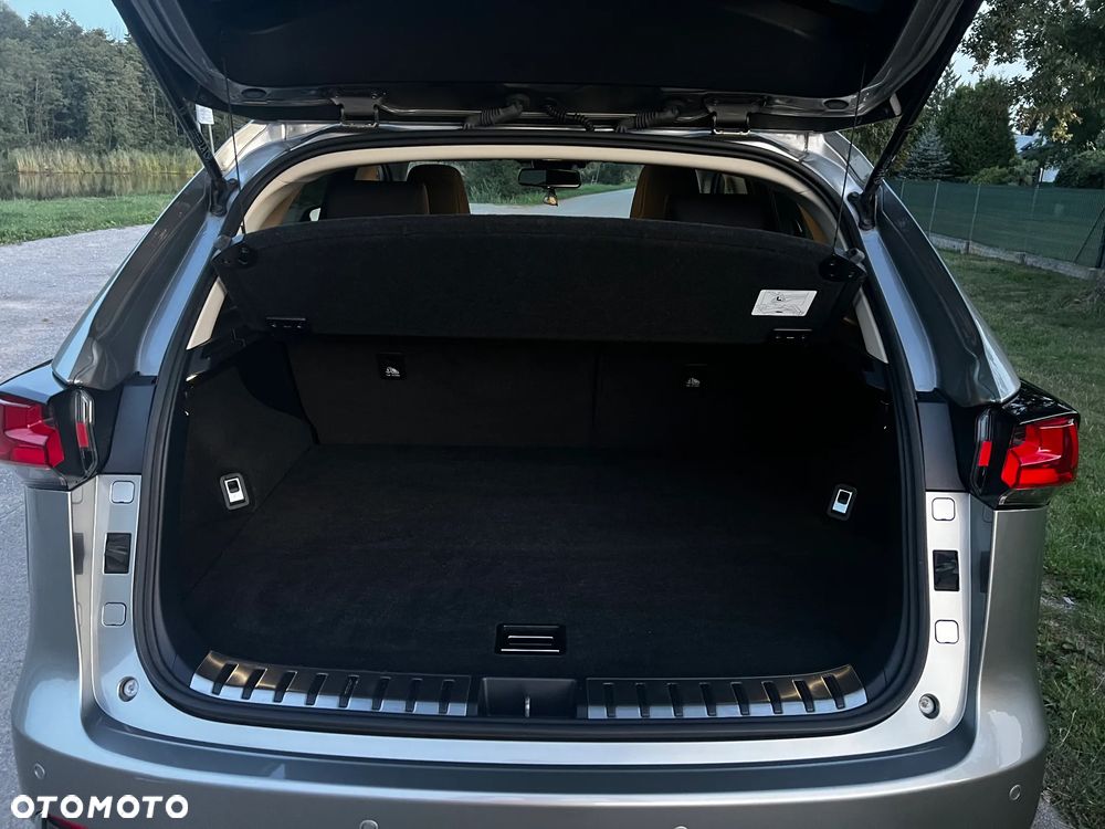 Lexus NX 300h Optimum AWD - 6