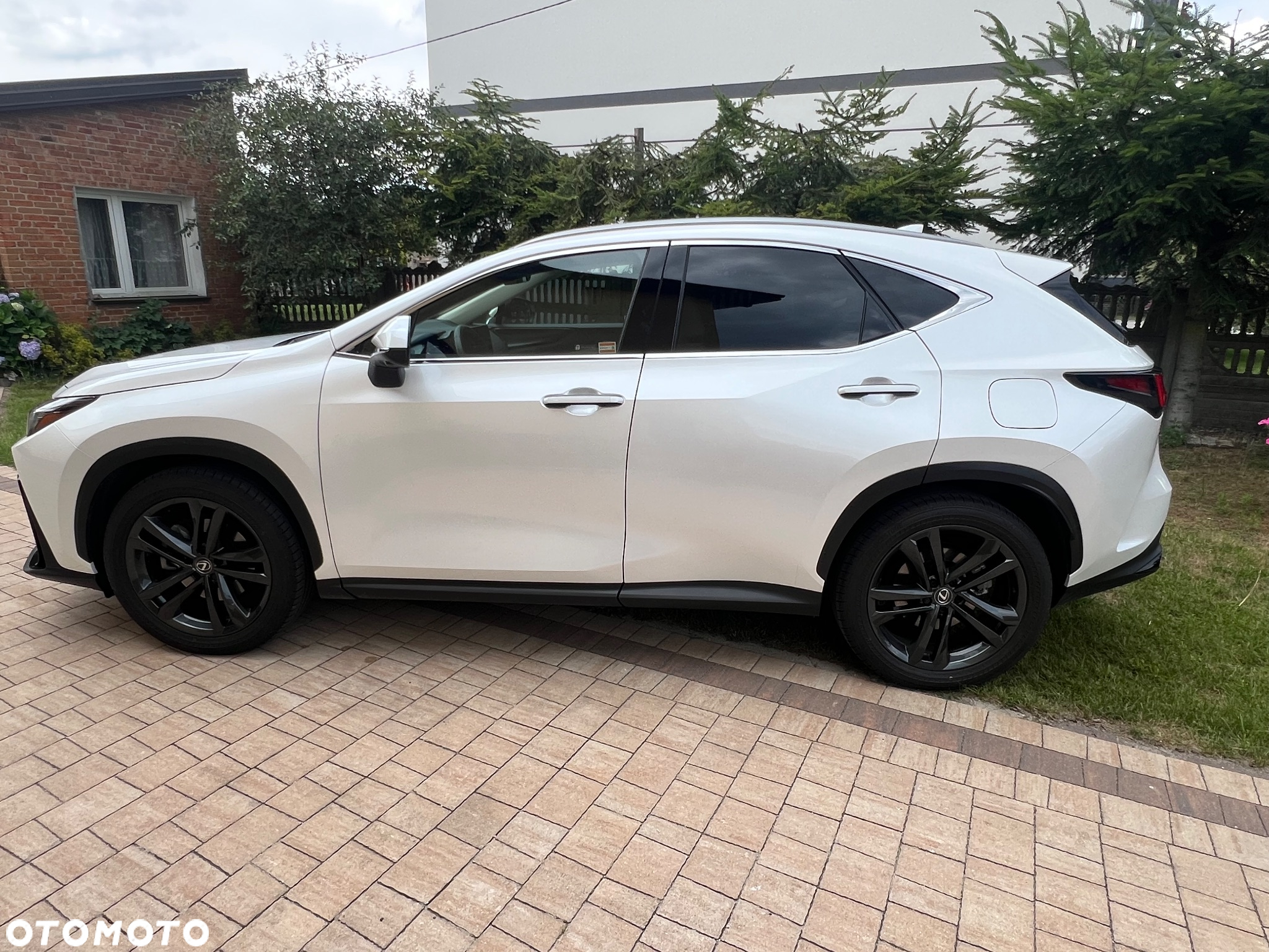 Lexus NX 350h Prestige AWD - 14