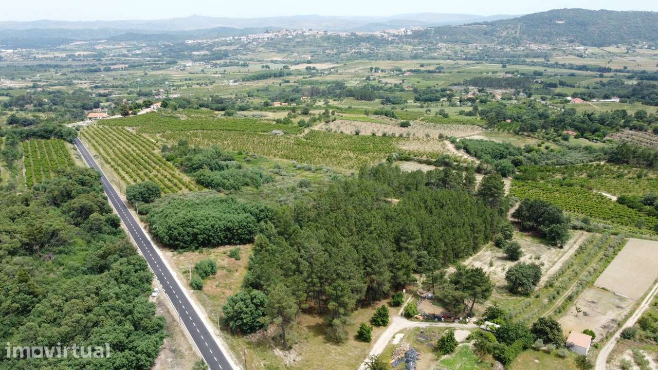 Terreno Rústico c/ 8.331 m² em Aldeia do Souto – Covilhã - Grande imagem: 4/9