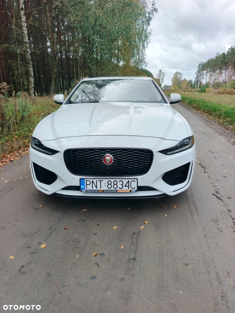 Jaguar Xe 2019 photo 2