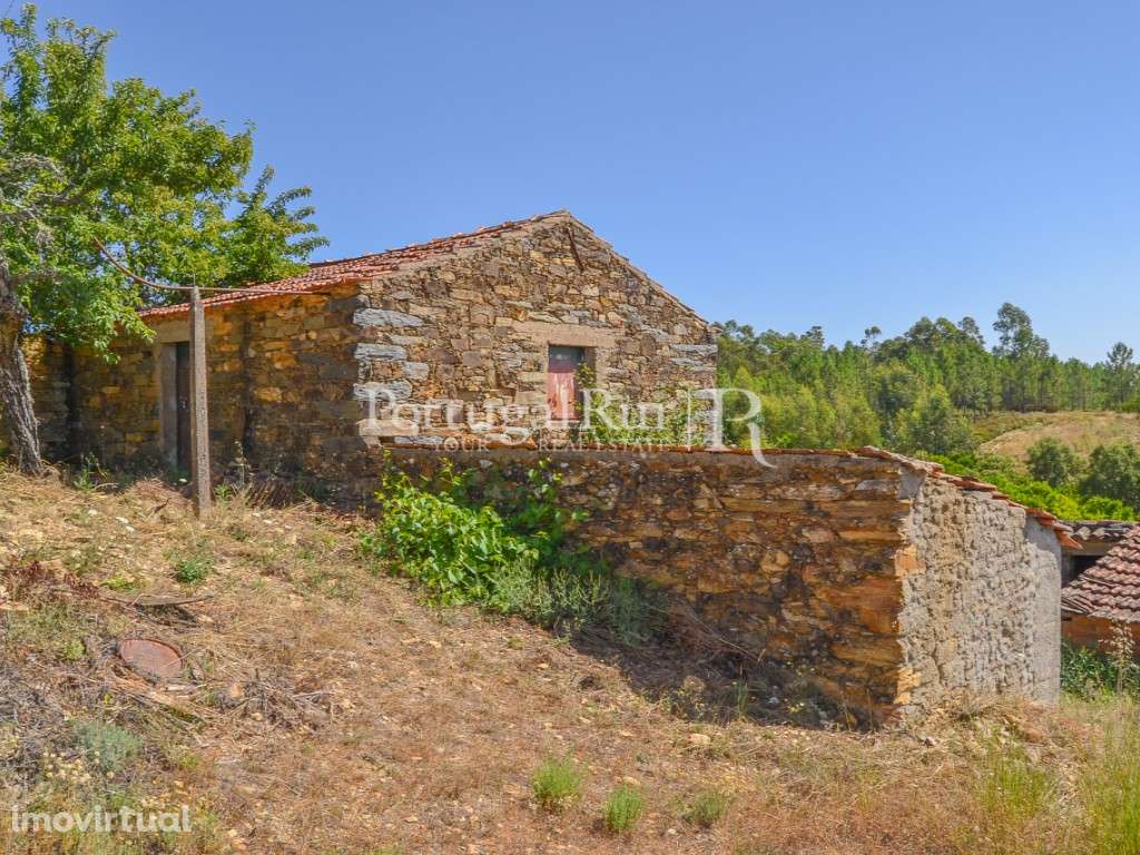 Quintinha com 4 hectares e 2 construções em aldeia da Beira Baixa - Grande imagem: 4/39