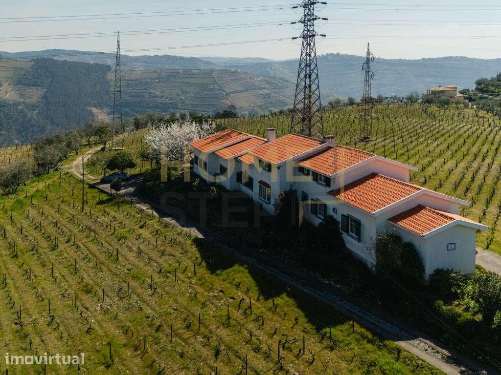 Quinta T4 com Vinhas e Oliveiras, em Santa Marta de Penaguião - Douro - Grande imagem: 4/60