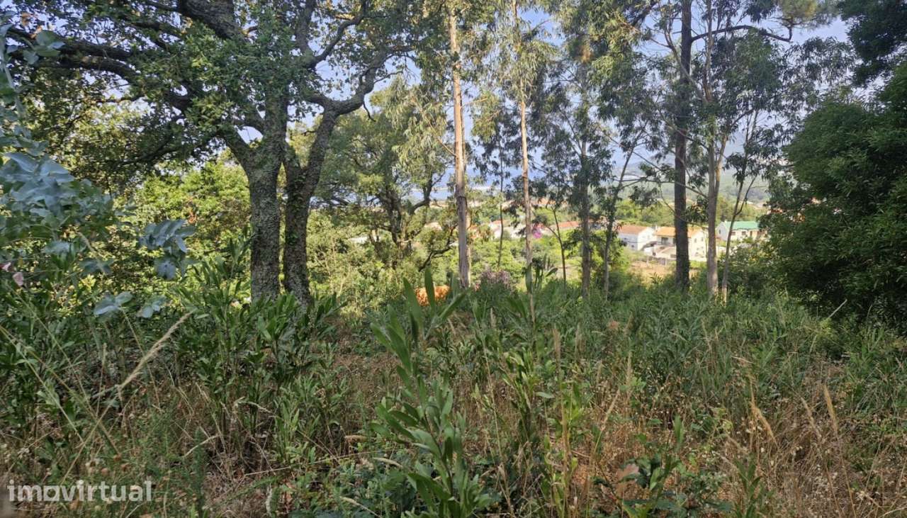 Terreno de construção para venda, Moledo, Caminha - Grande imagem: 2/9