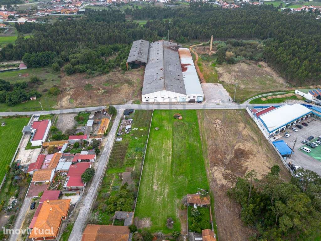Terreno para Construção de 32.500 m² com Viabilidade Turística e In... - Grande imagem: 5/32