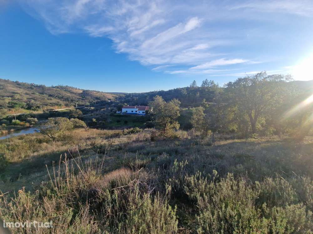 Terreno Rústico - Vale Figueira, Messines - Grande imagem: 5/15
