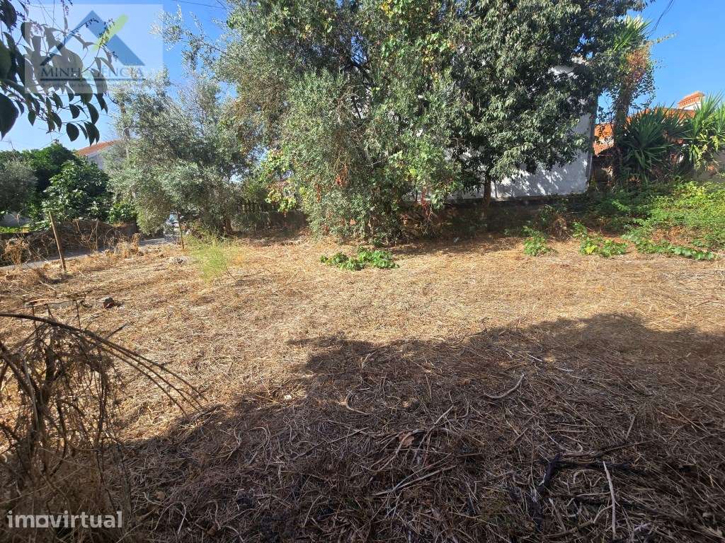 Terreno Urbano para Construção em Abrantes - Grande imagem: 2/10