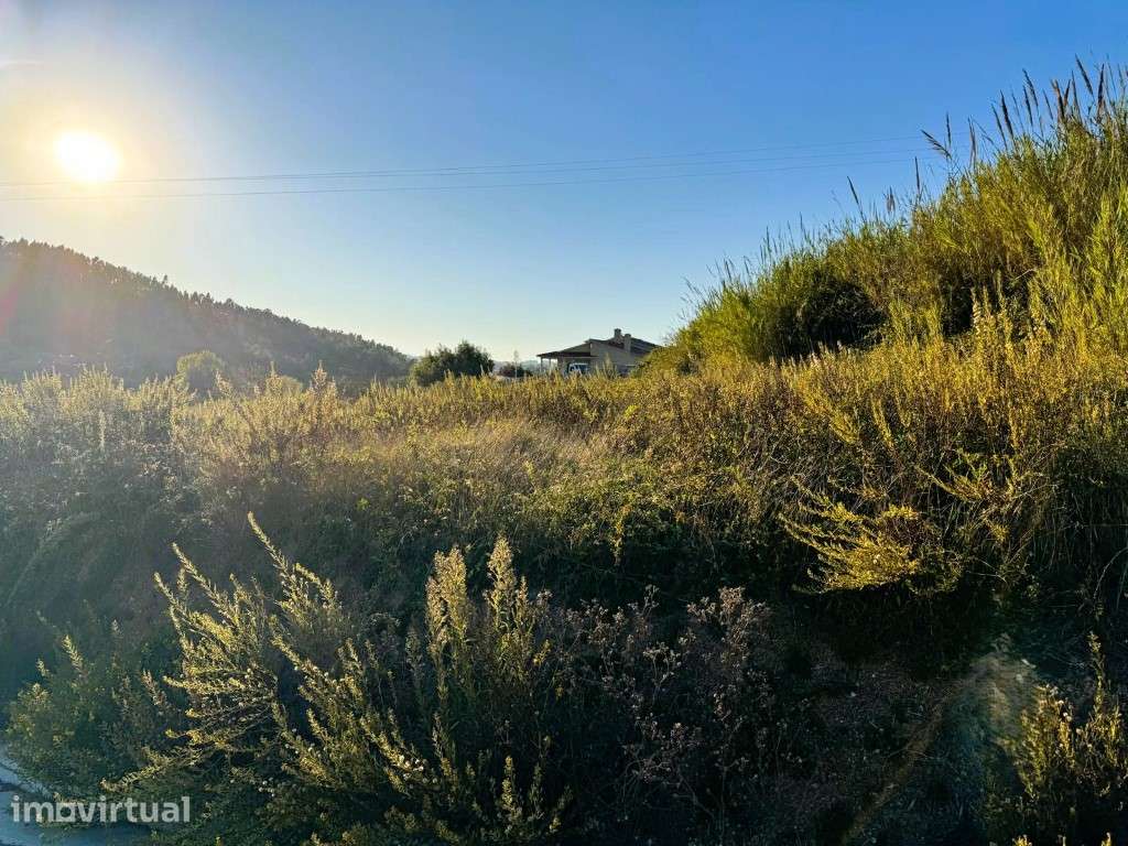 Terreno para Construção em Salir de Matos, Caldas da Rainha - Grande imagem: 5/6