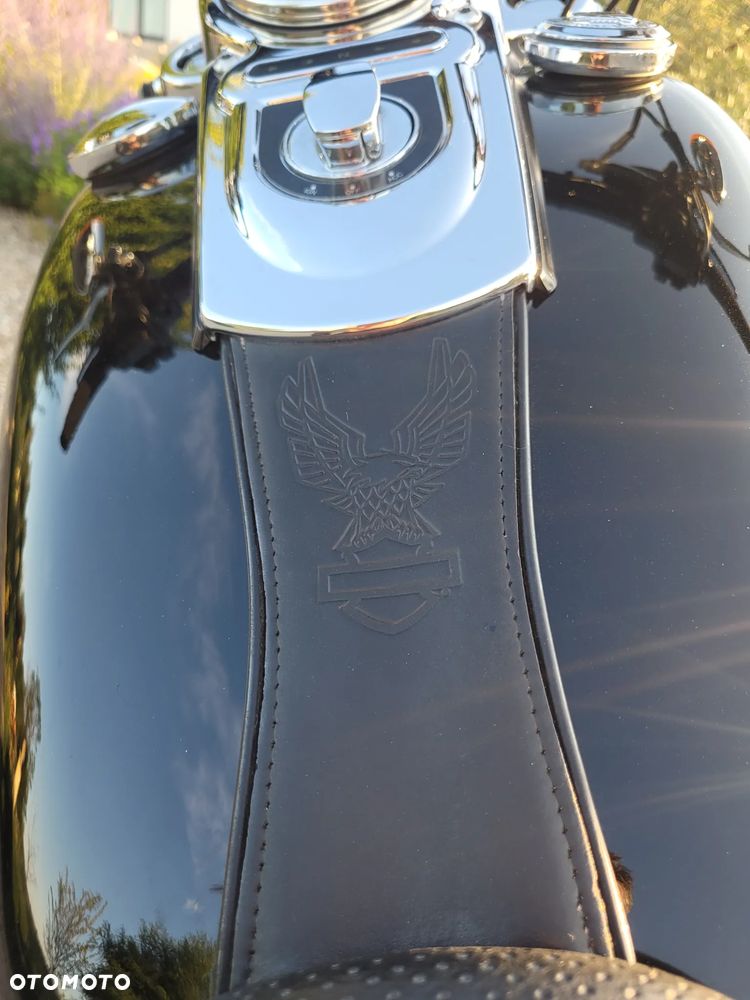 Harley-Davidson Dyna Switchback - 22
