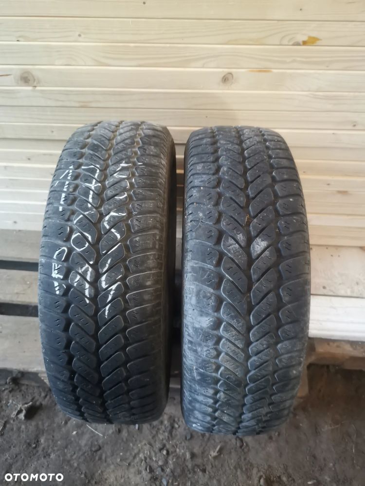 OPONY CAŁOROCZNE  WIELOSEZONOWAE DĘBICA NAVIGATOR 175/65 R14 - 1
