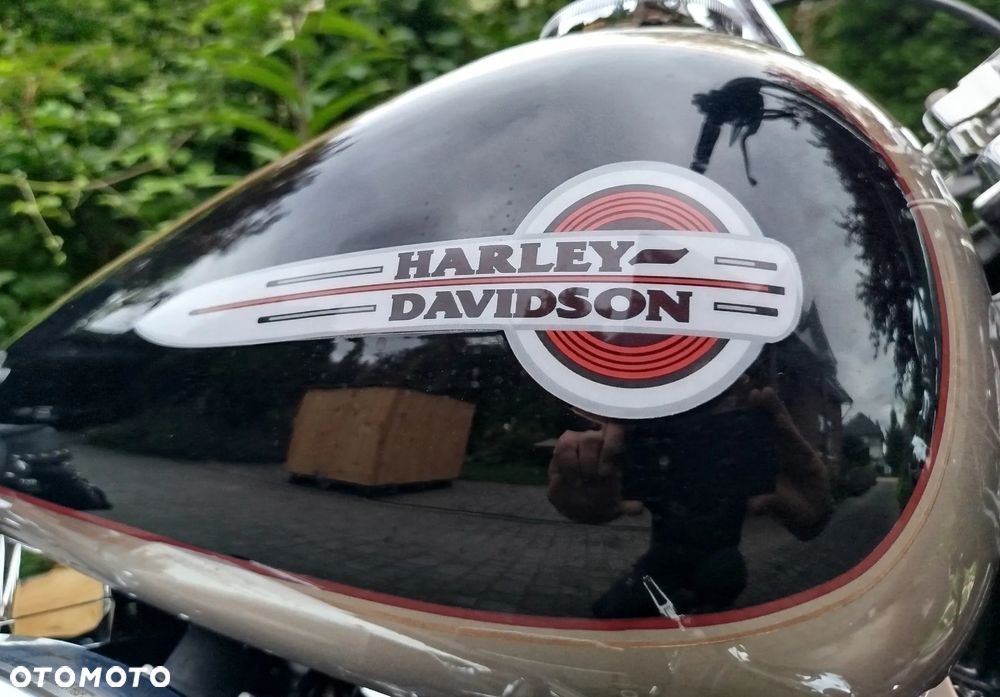 Harley-Davidson Softail Heritage Classic - 23