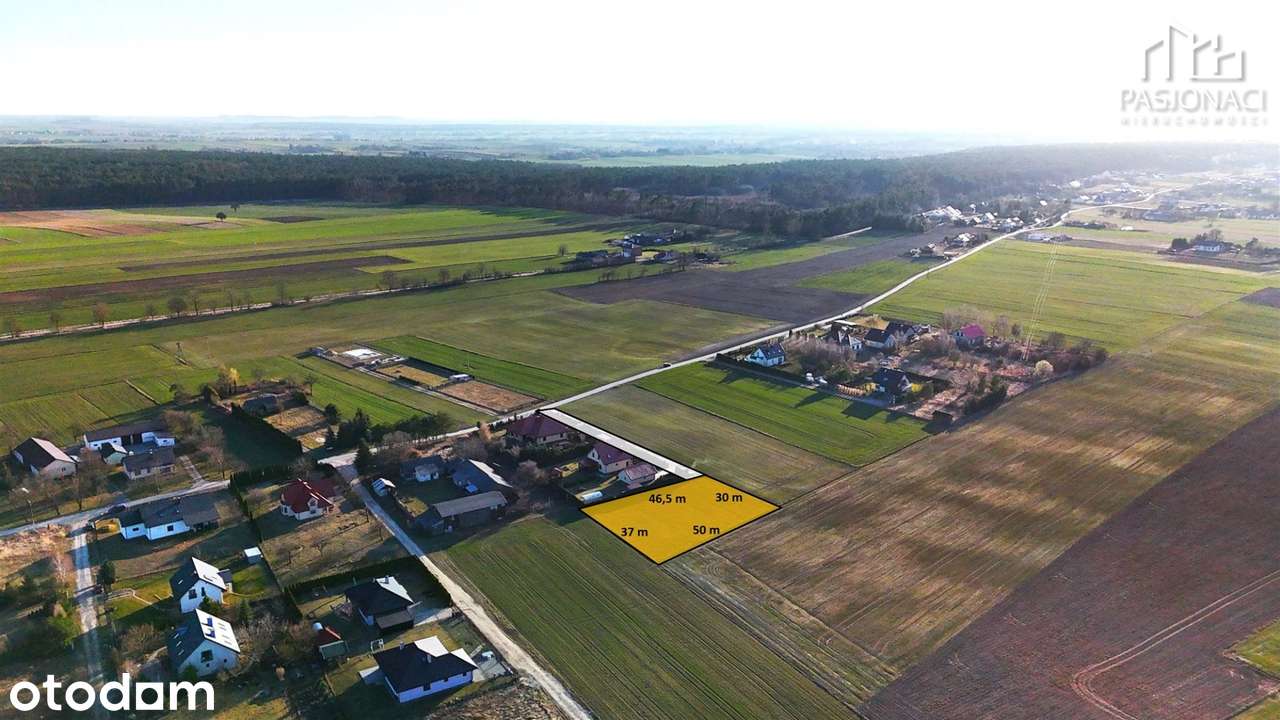 Działka budowlana Wilczopole-Kolonia 1600 m2 - Pełny obrazek: 3/8