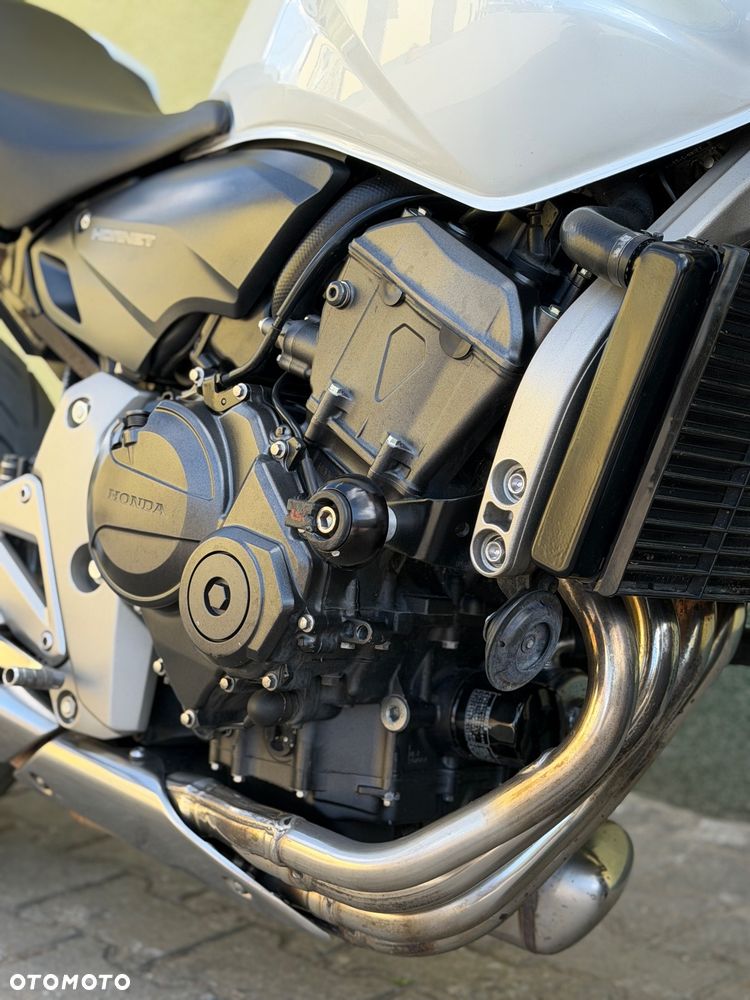 Honda Hornet - 5
