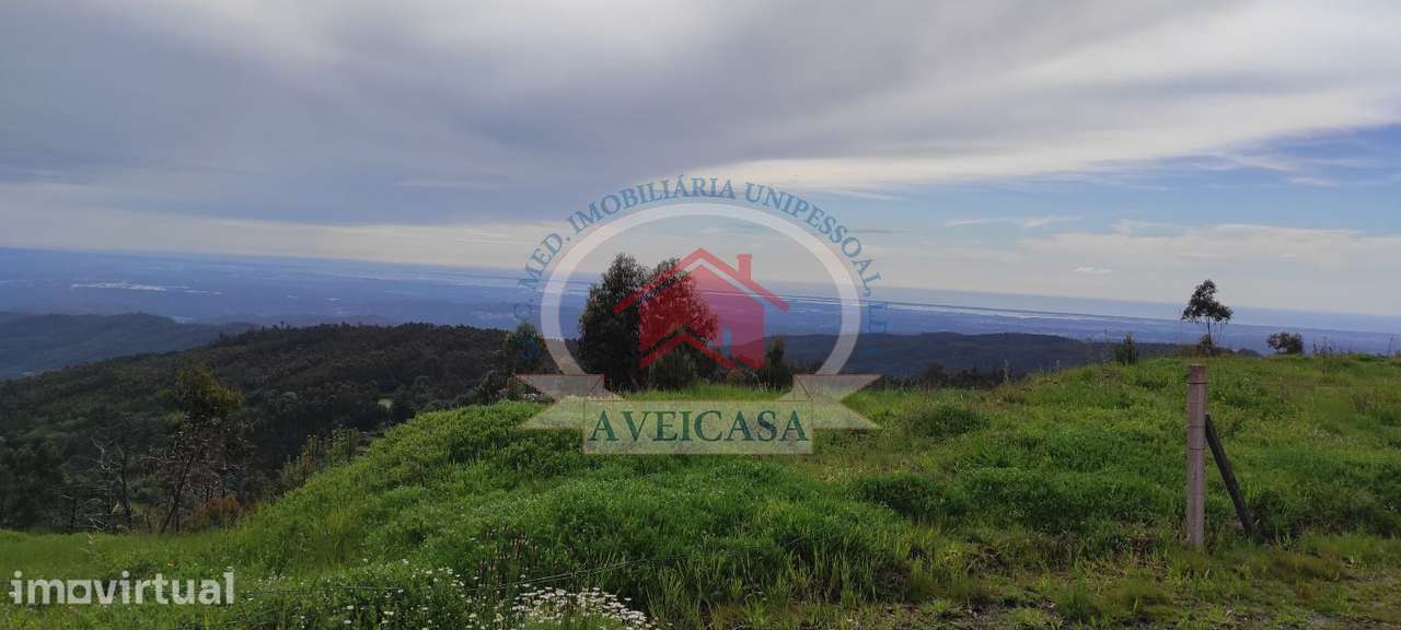 Terreno para 2 (duas) moradias isoladas - Grande imagem: 3/6