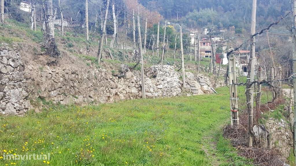 Terreno c/ Sequeira - Ribeira - Grande imagem: 5/16