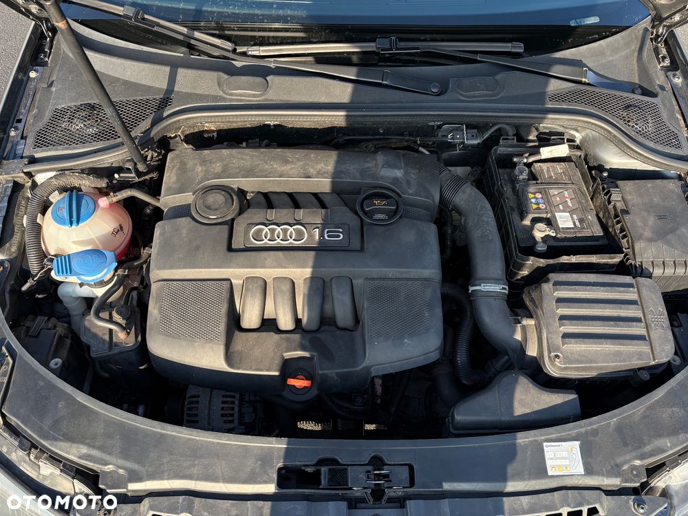 Audi A3 3-drzwiowe 1.6 Ambition - 22