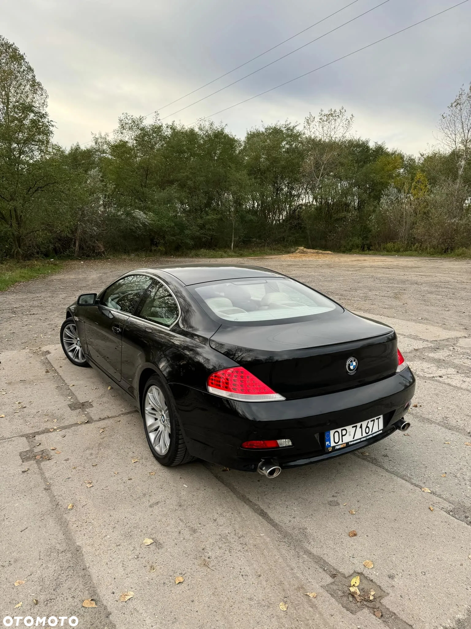 BMW Seria 6 645 Ci - 5
