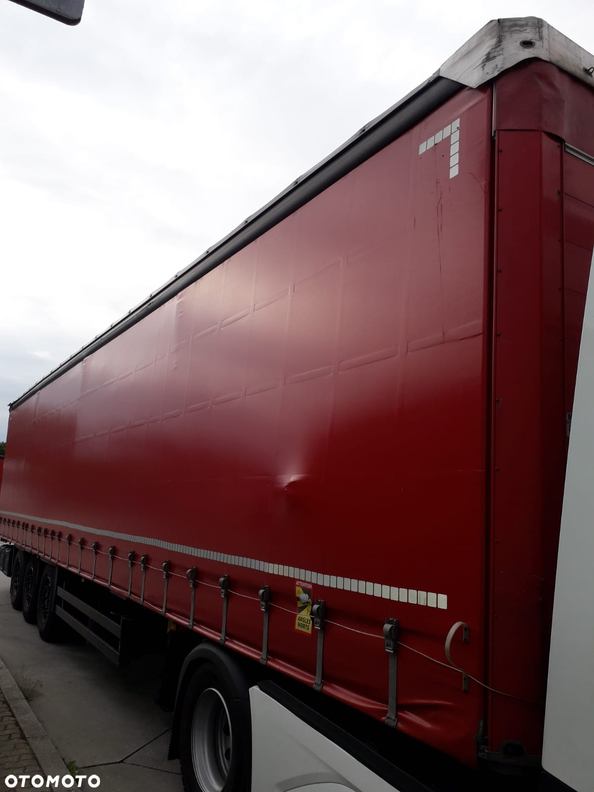 Schmitz Cargobull - 5