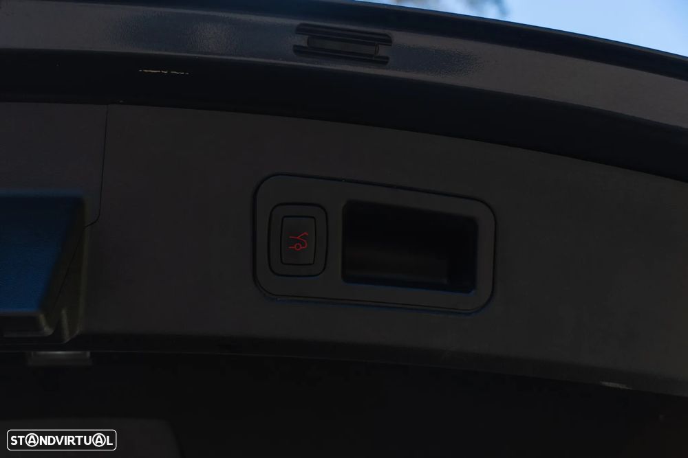 Tesla Model S P100D - 19