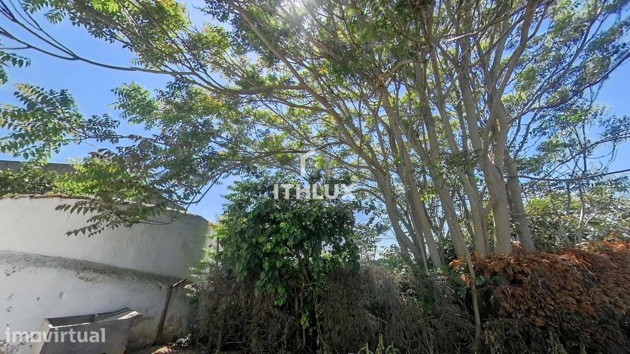 Moradia  rés do chão em Monforte, Alentejo, Portugal - Grande imagem: 4/18