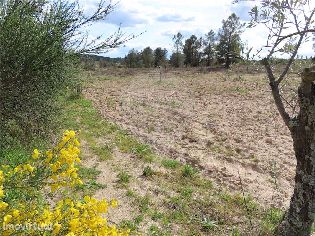 Quinta  para venda - Grande imagem: 5/19