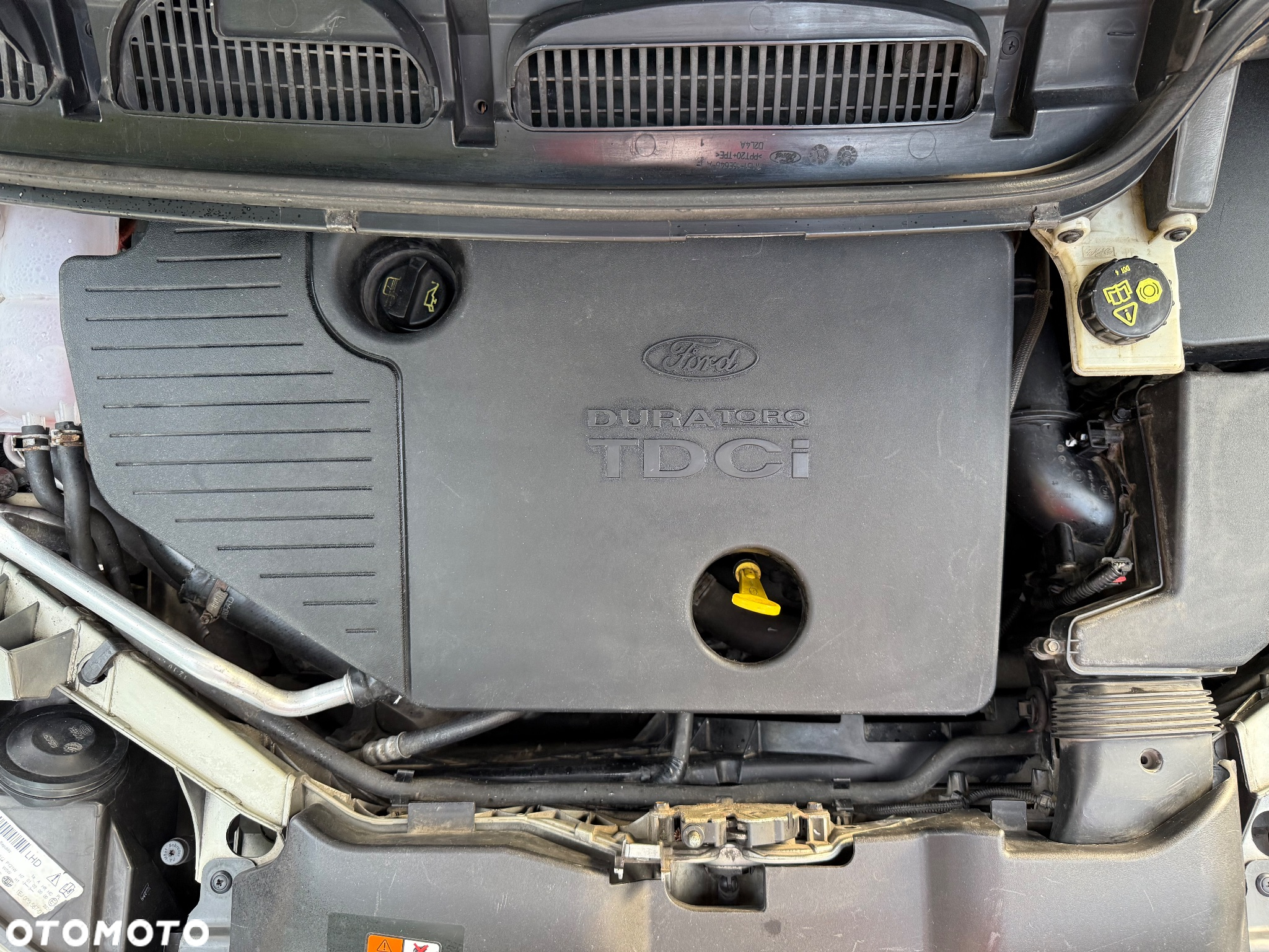 Ford Focus C-Max - 13