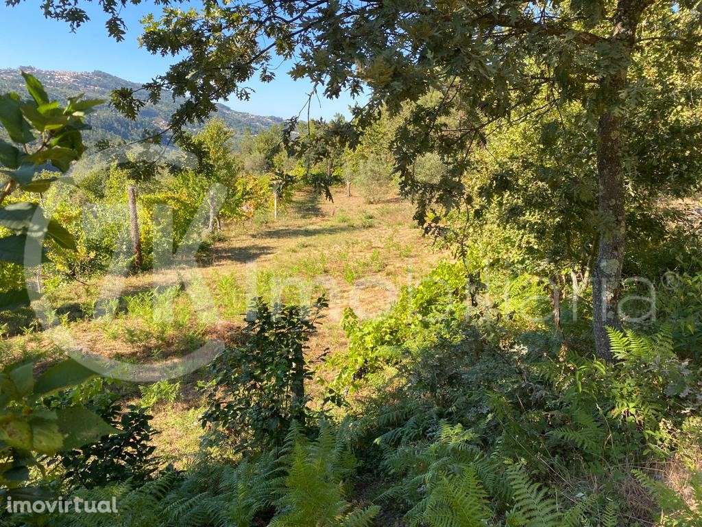 Terreno em Aliviada - Grande imagem: 3/6