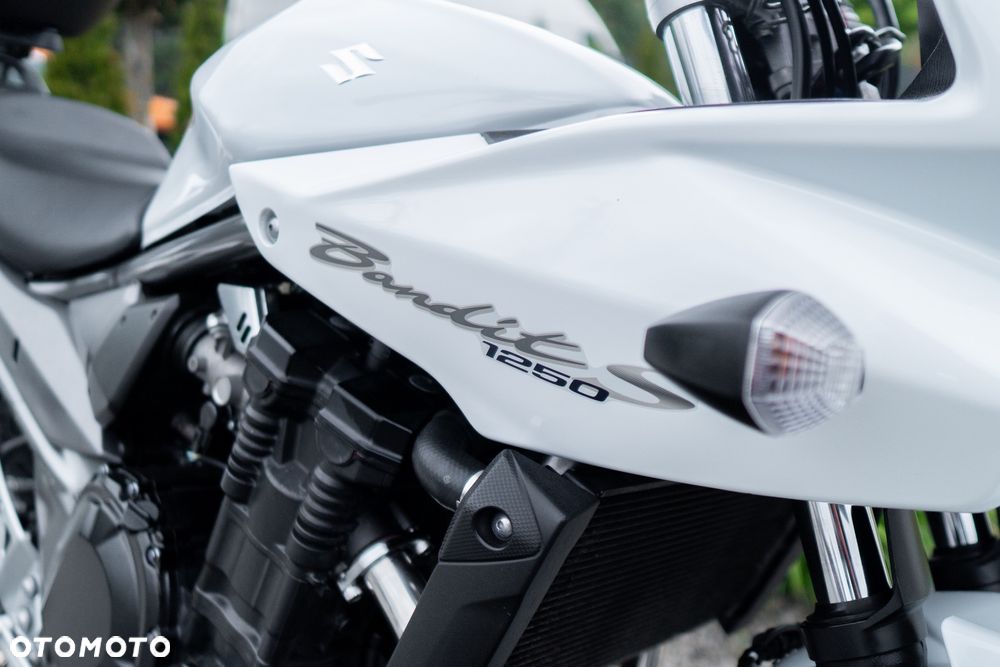 Suzuki Bandit - 15