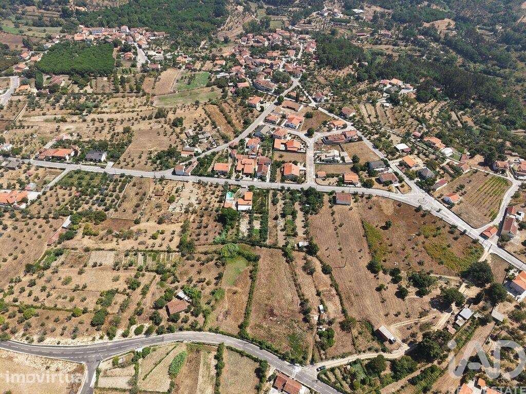Terreno Agrícola em Carregal do Sal - Grande imagem: 5/7